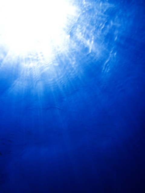 1. Nejlepší místa pro potápění: Objevte fascinující podvodní svět